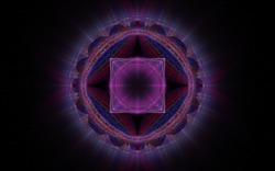 2014 04 30 Webs and Things 18-black.jpg